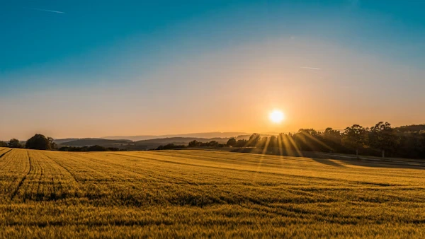 Recrutement cadres métiers agricoles, viticulture et coopératives en Charente-Maritime (17)